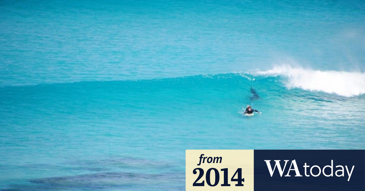 Stunning photos emerge of surfer's Esperance shark encounter